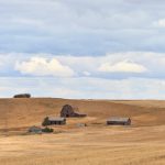 File photo of farmland around an abandoned farmstead near Swift Current, Sask. (ImagineGolf/iStock/Getty Images)
