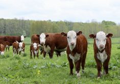 “We appreciate the hard work the agriculture minister’s office and department staff did on this file to get it done in such a short time frame, but they will have to forgive us if we watch warily for the implementation.” – Brent Benson, Manitoba Crown Land Leaseholders Association.