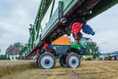 Photo: Oleksandr Yuchynskyi/iStock/Getty Images