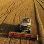 Global wheat exporters won’t keep up with demand this year, which will draw existing stocks down sharply.