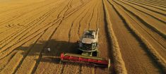 Global wheat exporters won’t keep up with demand this year, which will draw existing stocks down sharply.
