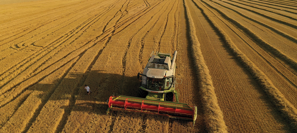 Global wheat exporters won’t keep up with demand this year, which will draw existing stocks down sharply.