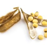 Hefty U.S. soybean crush propels Canadian canola upward