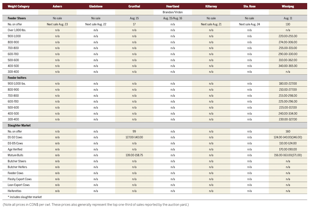 Cattle markets gearing up for fall