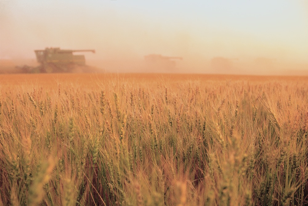 Harvest watch continues