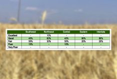 Spring wheat quality rating by region.