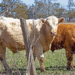 “…we will continue to work closely with provinces to get producers the additional support they need as quickly as possible.” – Lawrence MacAulay, Agriculture and Agri-Food Minister.