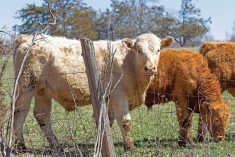 “…we will continue to work closely with provinces to get producers the additional support they need as quickly as possible.” – Lawrence MacAulay, Agriculture and Agri-Food Minister.