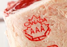 “We’ve always been dealing with a certain group down there that want to push mandatory country of origin labelling.” – Dennis Laycraft, Canadian Cattle Association.