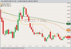 CBOT December 2023 corn with 20-, 50- and 100-day moving averages. (Barchart)
