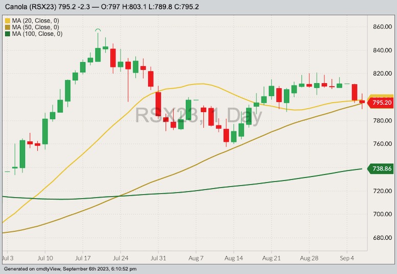 ICE November 2023 canola with 20-, 50- and 100-day moving averages. (Barchart)
