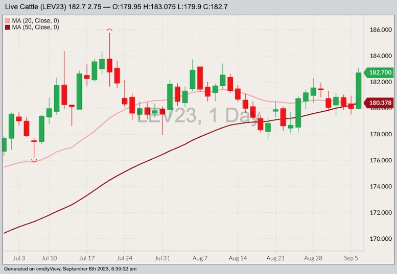 CME October 2023 live cattle with 20- and 50-day moving averages. (Barchart)
