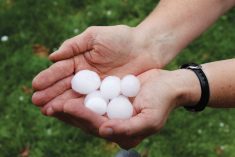 Extreme weather events are increasingly commonly being blamed on climate change, but how much of that is real, and how much is hot air?