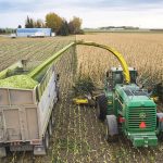 Corn silage comes off the field.