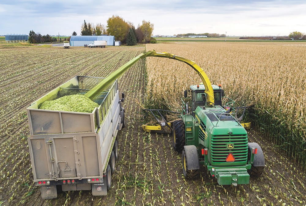 Corn silage comes off the field.