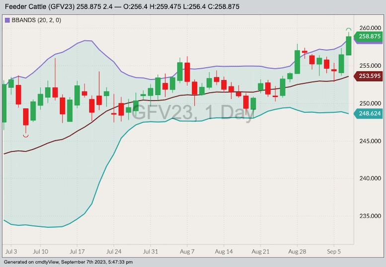 CME October 2023 feeder cattle with Bollinger bands (20,2). (Barchart)
