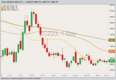 CBOT December 2023 corn with 20-, 50- and 100-day moving averages. (Barchart)
