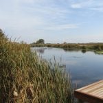 The view from the marsh at Cypress River Millennium Park.