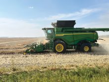 Values for new-crop canola futures tend to continue lower as the crop comes in fresh off the fields.