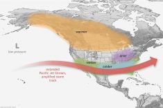 This graphic shows a textbook example of the expected weather impacts across North America during an El Niño winter. Across the Prairies, El Niño can often mean warmer than average winters – but not always.