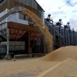 File photo of barley being unloaded at a grain terminal in Ukraine on June 23, 2022. (Photo: Reuters/Igor Tkachenko)
