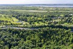 The Greenbelt scoops up an estimated 71 million tonnes of carbon annually. For context, the average Canadian is responsible for about 20 tonnes of carbon entering the atmosphere over the same period.