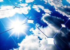 Covering crops with solar panels may not seem intuitive. However, dozens of studies from all over the world have shown that many crop yields increase when they are partially shaded by solar panels.