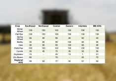 Corn fields in dry-down mode, canola harvest at 55 per cent