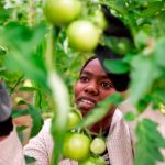 ‘Canada’s self-image, accurate or not, is that it’s a nice country, full of nice folks. Shake that identity enough and, at some point, the results might not be pretty if you need to hire a foreign worker.’