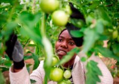 ‘Canada’s self-image, accurate or not, is that it’s a nice country, full of nice folks. Shake that identity enough and, at some point, the results might not be pretty if you need to hire a foreign worker.’