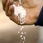 The federal government has not announced a mandated reduction in use of nitrogen fertilizer.