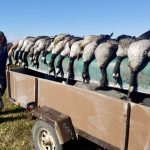 Mark Sopuck next to a bag of geese after a lucky morning on Duck Slough.