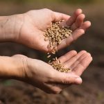 photo: pavelrodimov/istock/getty images