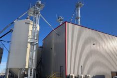 File photo of Scoular&#8217;s flax processing plant just outside Regina. (Scoular.com)
