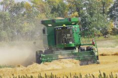 Wheat comes off the field in south-central Manitoba over the September long weekend.