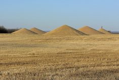 Commodity markets, however, wait for no one and, like American politics, grain futures have been slipping and slouching since early summer.