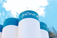 Producers called to speak on Bunge-Viterra merger