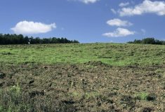 Editorial: Crown lands on uncertain ground