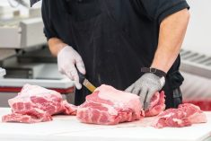 U.S. consumer demand for pork is waning and Canadian producers should respond to reduced slaughter numbers, suggests the USDA’s Foreign Agricultural Service.