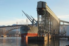 Loading grain on a vessel at a Burrard Inlet terminal. (Maxvis/iStock/Getty Images)
