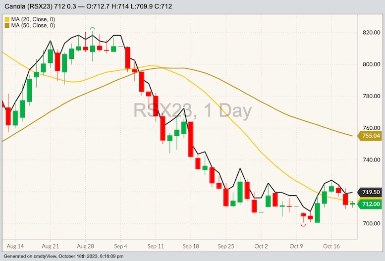 ICE November 2023 canola with 20- and 50-day moving averages and January 2024 canola (black line). (Barchart)
