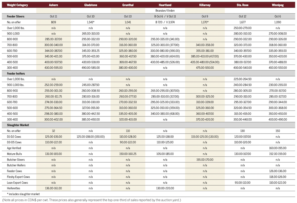 High volumes, prices ahead of calf run