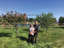 Ward and Jo-Anne Middleton on their certified organic farm north of Edmonton.