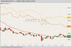 CBOT December 2023 soft red winter wheat with 20-day moving average, MGEX December 2023 hard red spring wheat (yellow line) and K.C. December 2023 hard red winter wheat (orange line). (Barchart)
