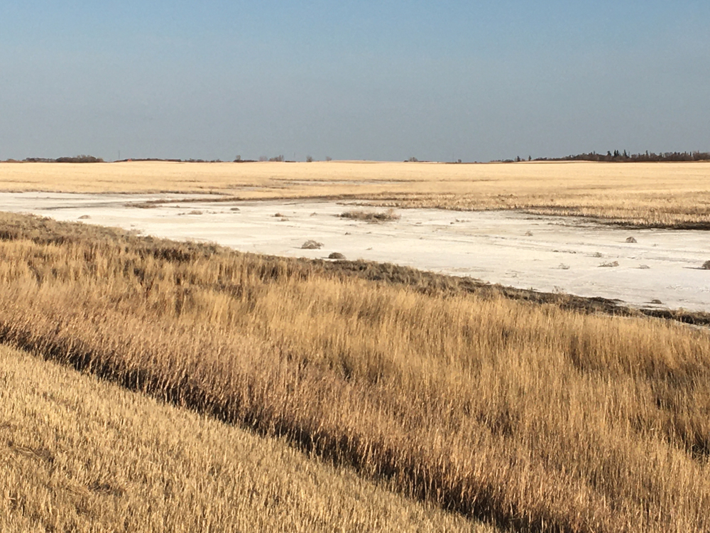 “This is the part of the message nobody wants to hear, but there are some fields that aren’t suitable for things like soybeans and corn if they deal with higher levels of background salinity.” – Marla Riekman, Manitoba Agriculture.