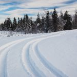 The probabilities suggest that a snowfall event yielding at least 10 centimetres in the Winnipeg region will happen about twice per typical winter.