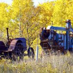 Fall foliage provides a showy background for antique farm equipment west of Carberry Oct. 15.