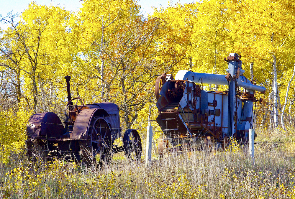 Fall foliage provides a showy background for antique farm equipment west of Carberry Oct. 15.
