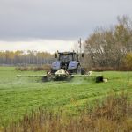 Forage is cut in eastern Manitoba near Sarto on Oct. 18.