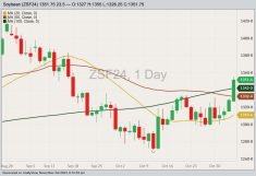 CBOT January 2024 soybeans with 20-, 50- and 100-day moving averages. (Barchart)
